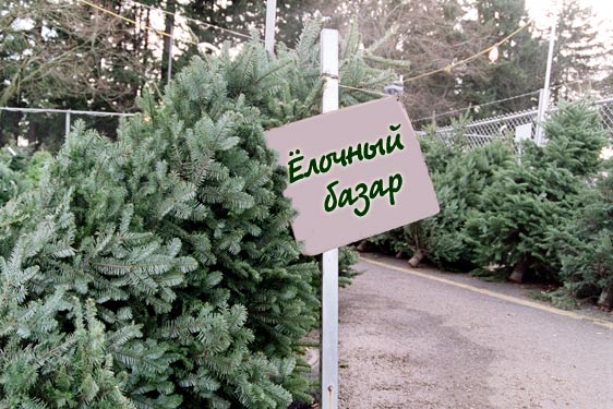 Информация о дислокации елочных базаров в Донецке