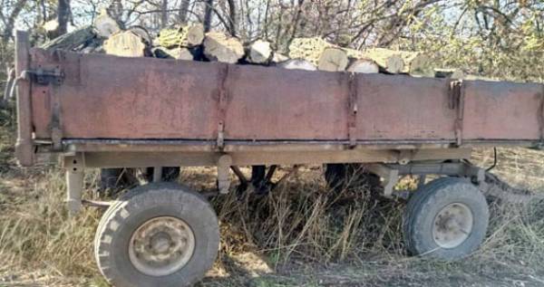 В Ясиноватском районе полиция выявила нелегальных лесорубов (ФОТО)