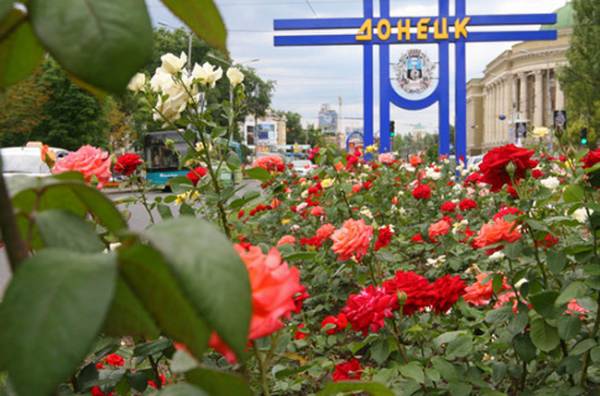 Коммунальщики Донецка к маю высадят в городе 730 тысяч цветов