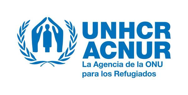 ООН призывает отменить привязку получения соцвыплат к регистрации переселенцев