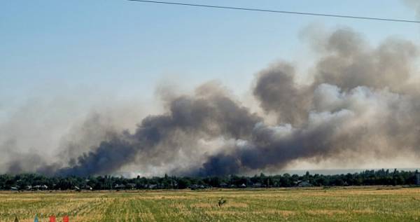 В Новоазовском районе выгорело 80 га сухой травы и камыша