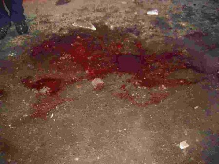 Фото разрушений Горловки 01.02.2015  (5й " Старый " квартал)