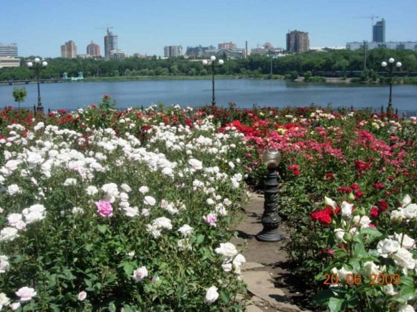 Хроника событий в Донецке за 02.05.15 (обновление 23:58)