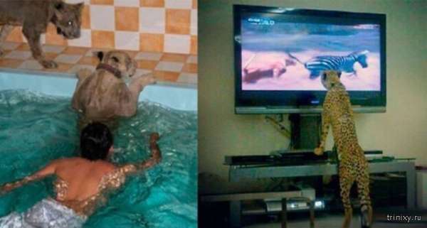 Сумасшедшие фотографии из Дубая (30 фото)