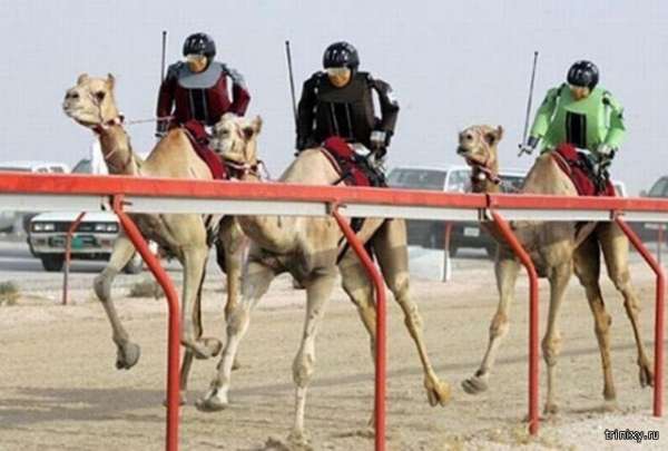 Сумасшедшие фотографии из Дубая (30 фото)