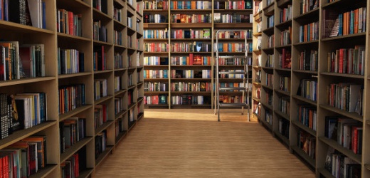 В ДНР разрабатывается программа компьютеризации библиотек