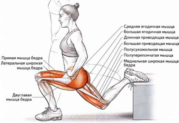 Как накачать ягодицы