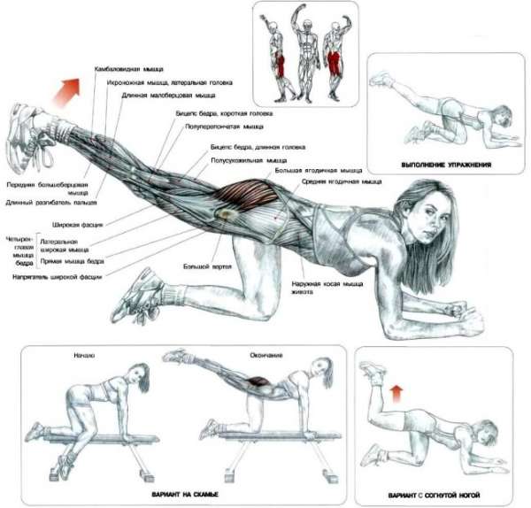 Как накачать ягодицы