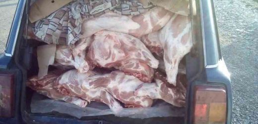 В ДНР пытались незаконно ввезти почти тонну мясной продукции, - Госпогранслужба Украины