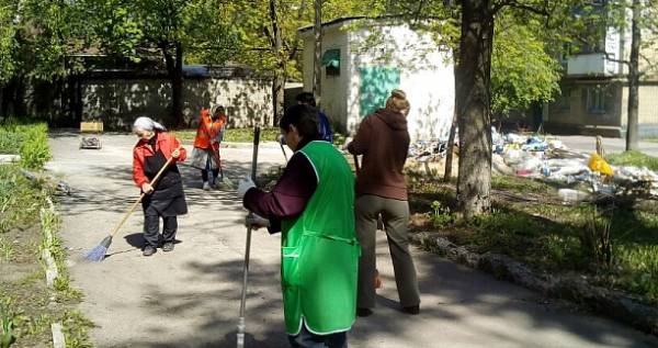 За два месяца в Донецке высажено более 18 тысяч деревьев, кустарников и цветов