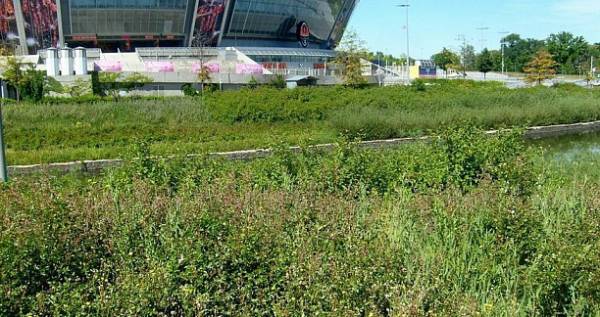 На «Донбасс Арене» благоустраивают парковую зону