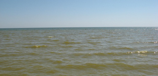 В Мангушском районе в Азовском море утонул мужчина