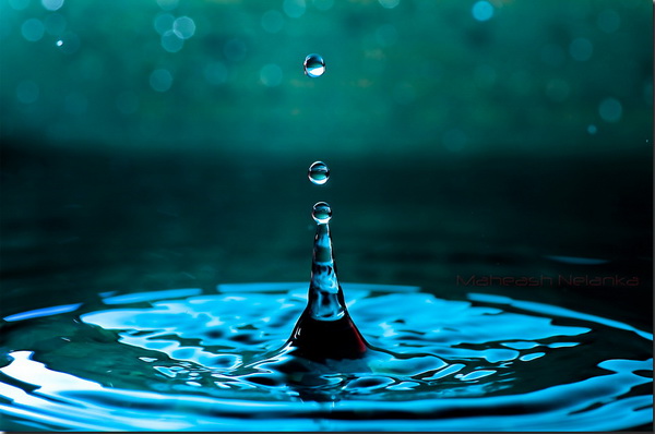 18 сентября 2023 - Всемирный день мониторинга воды