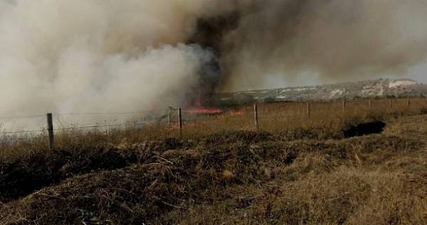 Пожар произошел вблизи КПВВ «Новотроицкое»