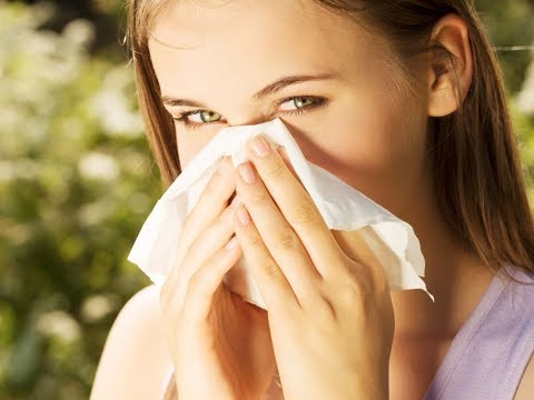 Как спастись от аллергии? (пресс-конференция)