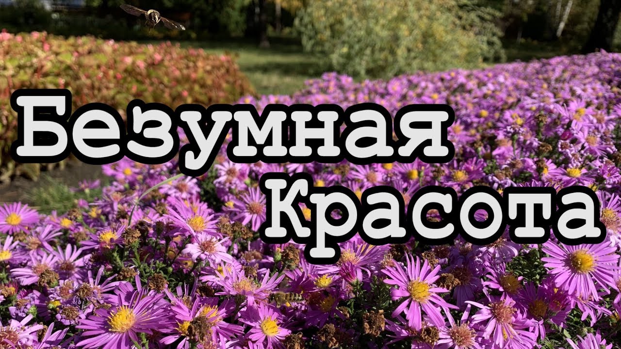Ботанический сад сегодня! (Видео)