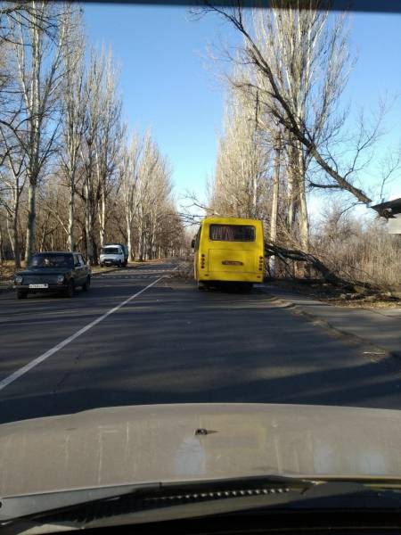 В Донецке дерево упало на маршрутку