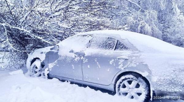 В Донецке десятки машин безнадежно повреждены упавшими деревьями