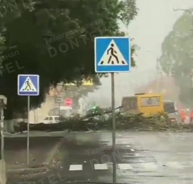 В Донецке во время шквального ветра упало дерево