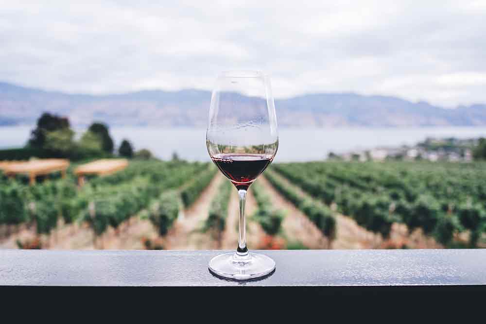 Вино: разновидности, полезные свойства