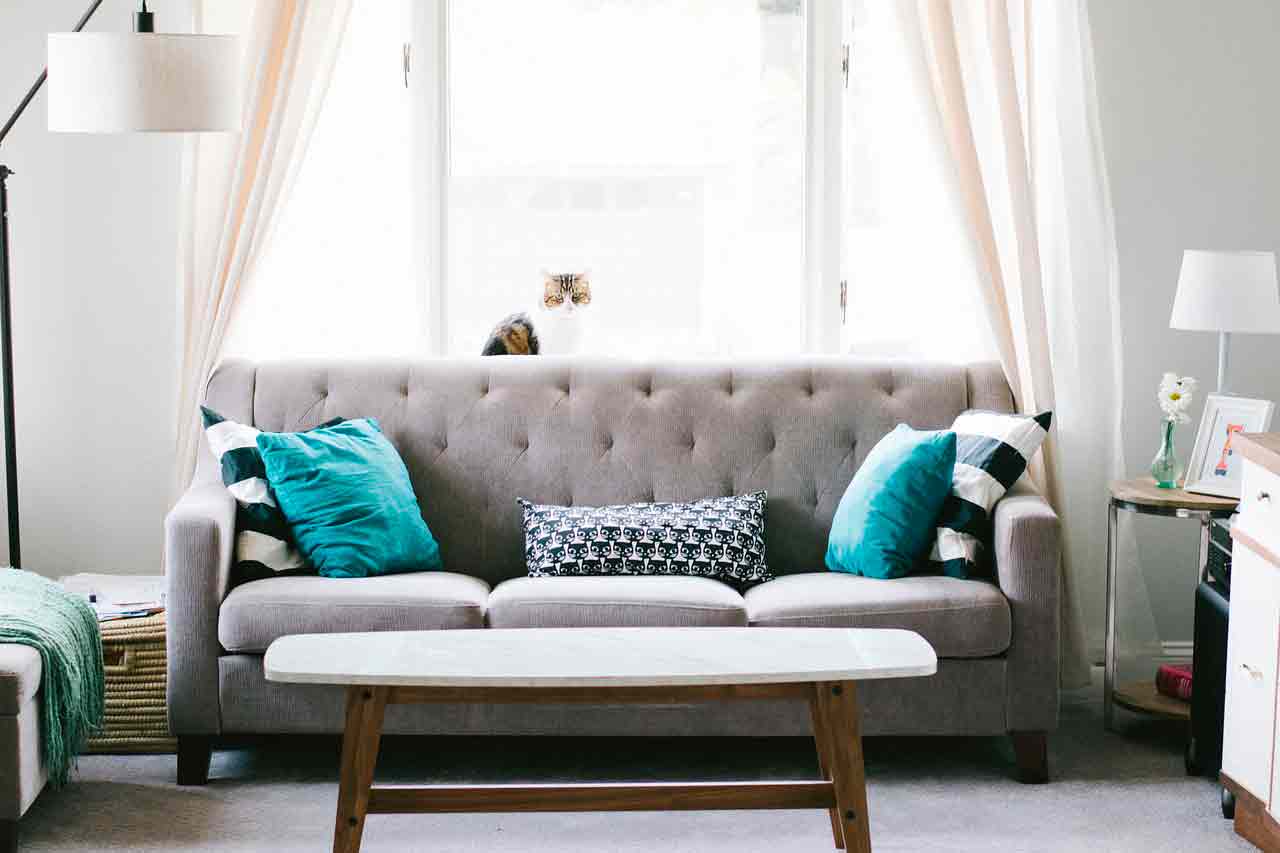 Чистка дивана - как почистить диван в домашних условиях?