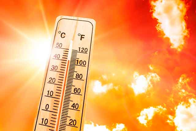 Дончан ждет аномальная жара, как спасаться?