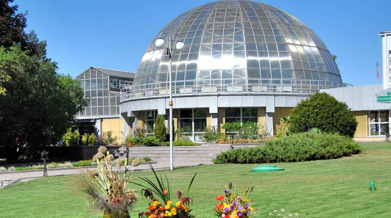 В Донецкий ботанический сад можно придти на новогодние экскурсии